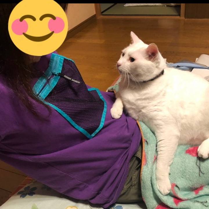 20b33ba9 4c97 41dc 8e6a 6b1cb38b906c 1595134888417