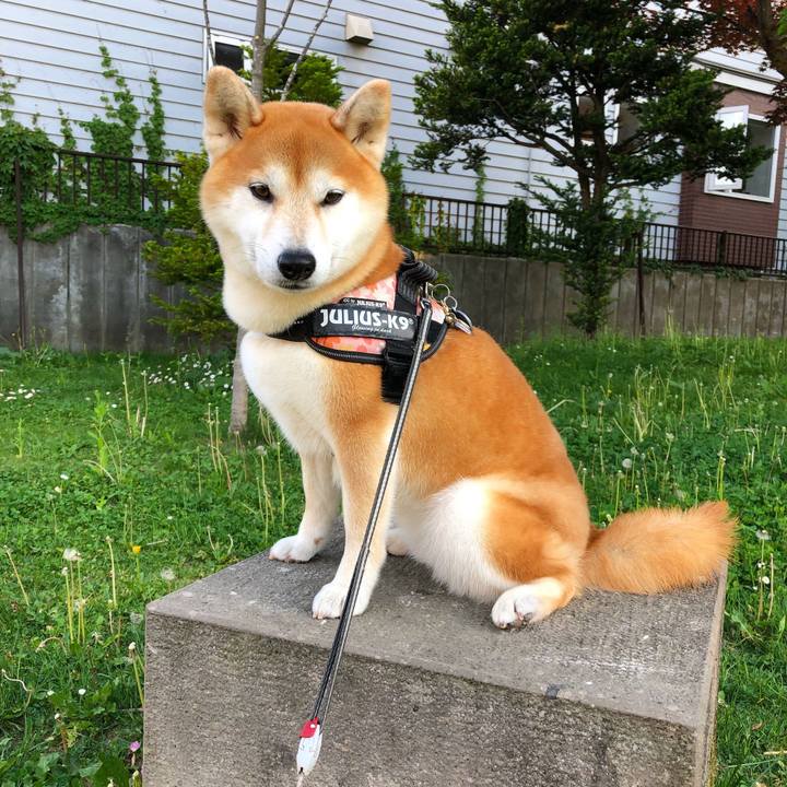 20b33cb8 28ed 4870 b84c c35d40a49bf3 1558951968714