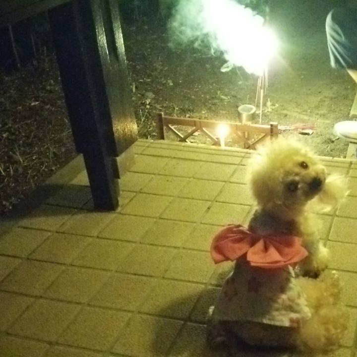 20b355f4 b94b 4755 b164 3104c0a49fce 1532177783138