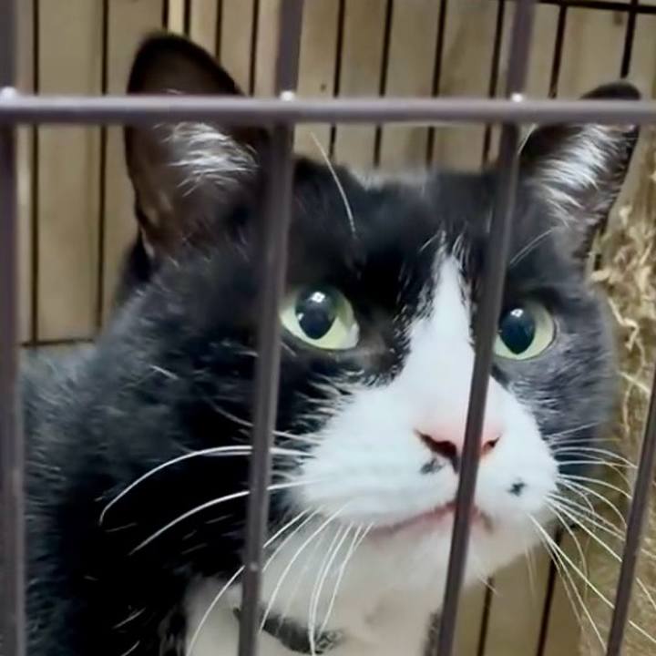 20b35dcc 3984 45ea 9830 cce826fbb675 1767354182875