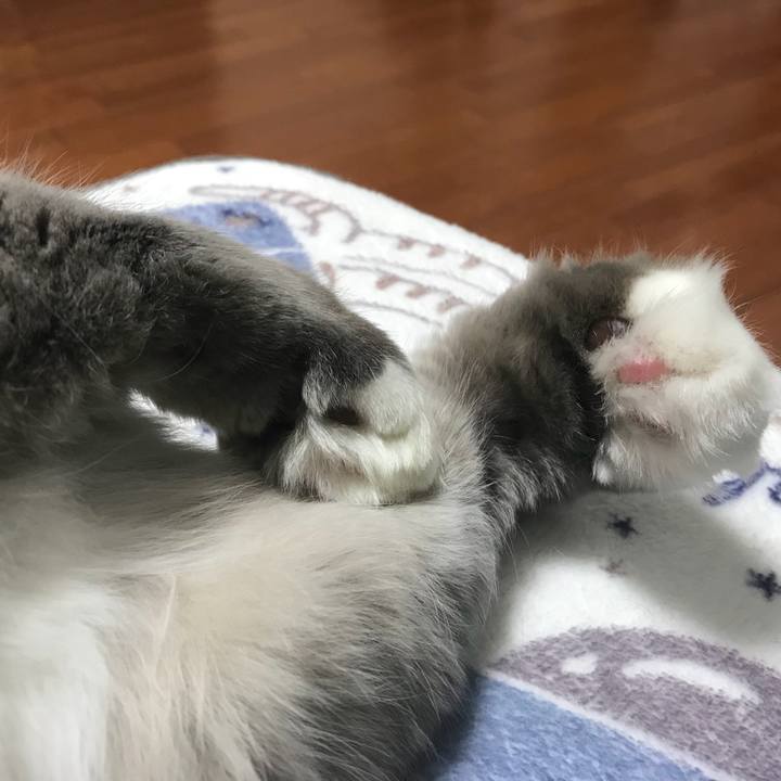 20b37f72 7e46 4aea a0d6 534cdac47a20 1512228219499