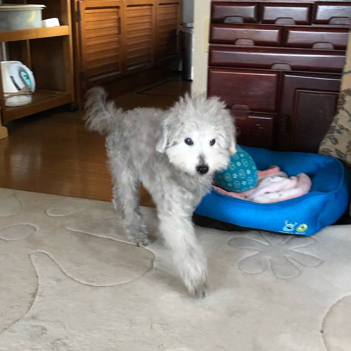 20b38dfb 6464 4100 b905 45825cf60b77 1614641632300