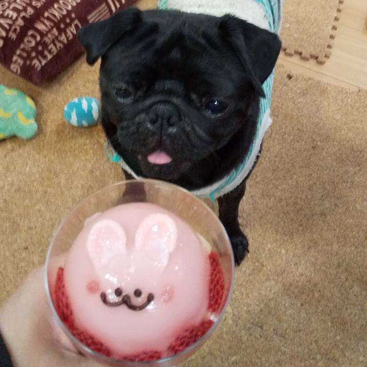 20b3cee4 b66f 46a9 b31c 558c5f91d683 1555330235590