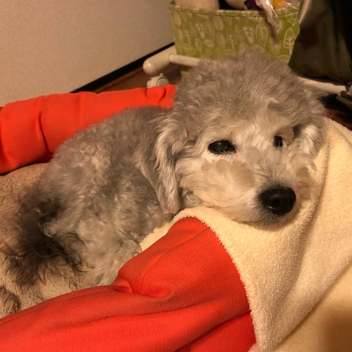 20b3e317 b7c7 4913 b52c cecc2bc77854 1572873417263