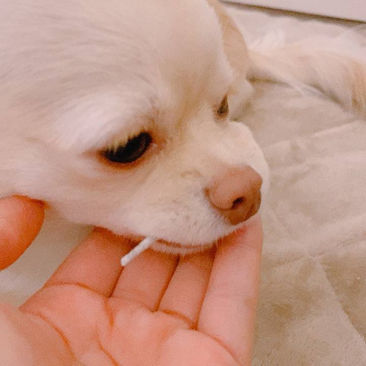 20b41457 0c41 4465 a065 53d925c1058d 1617264764616