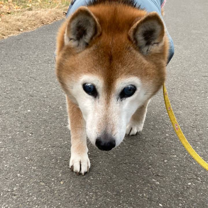 20b41e03 002b 4eba 9c8a 5fafa6737889 1766824218041