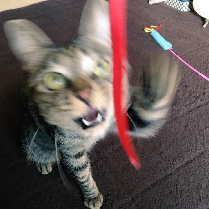 20b44235 f7e4 4b4e 9fbb 10ae3817d41f 1541480963322