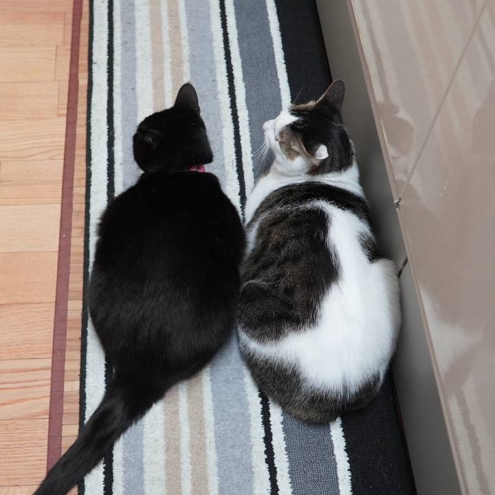 20b46a99 9fe9 429e 8f1f 6b446b4ea6d5 1605364137649