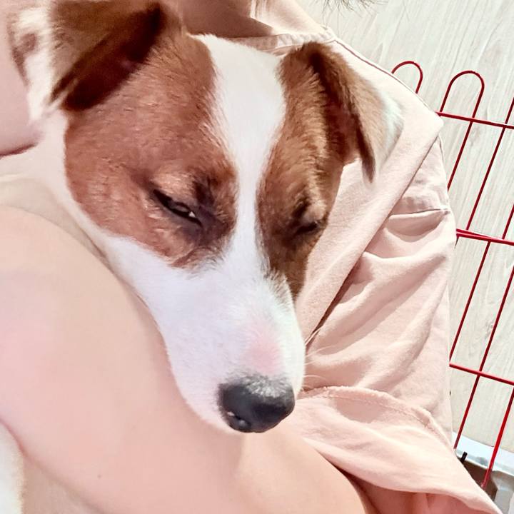 20b494a5 097c 42d4 ae4e 098f06da42f2 1747525503981