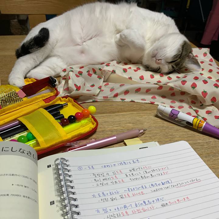 20b49660 9d4c 46f9 ac26 2b9e599c1fe9 1621887693685