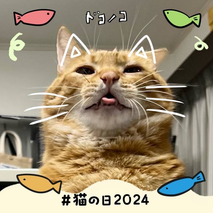 20b49966 14f1 4860 bbb1 a18af56c103f 1708599079029