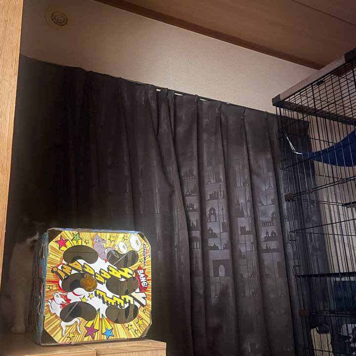 20b4b32e 3bee 4c2a 93e6 63bd611bee78 1725534743480