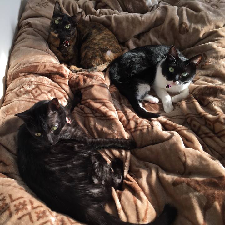 20b4ee9a fffb 4e95 85d4 6d55519027e7 1542421049429