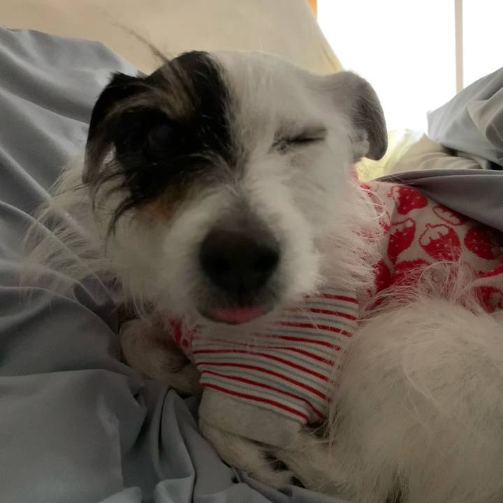 20b501e2 a403 4294 ab01 4bd353ce3908 1741184422791