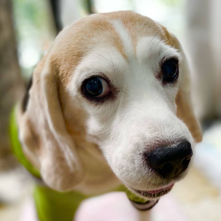 20b51c37 6e96 453a b5b0 652ca1a8c368 1636256130618