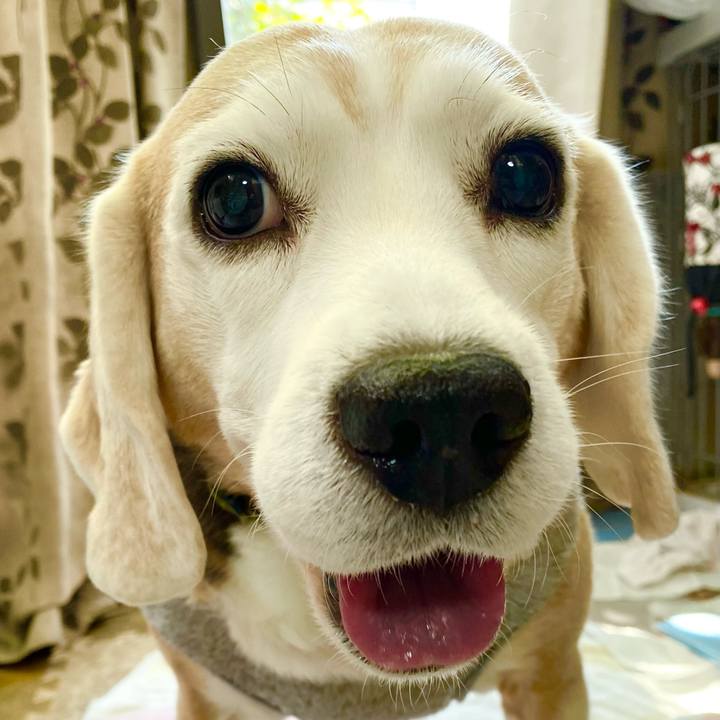 20b52014 7d6a 4974 bf68 e6c28df4d9e1 1642045957111