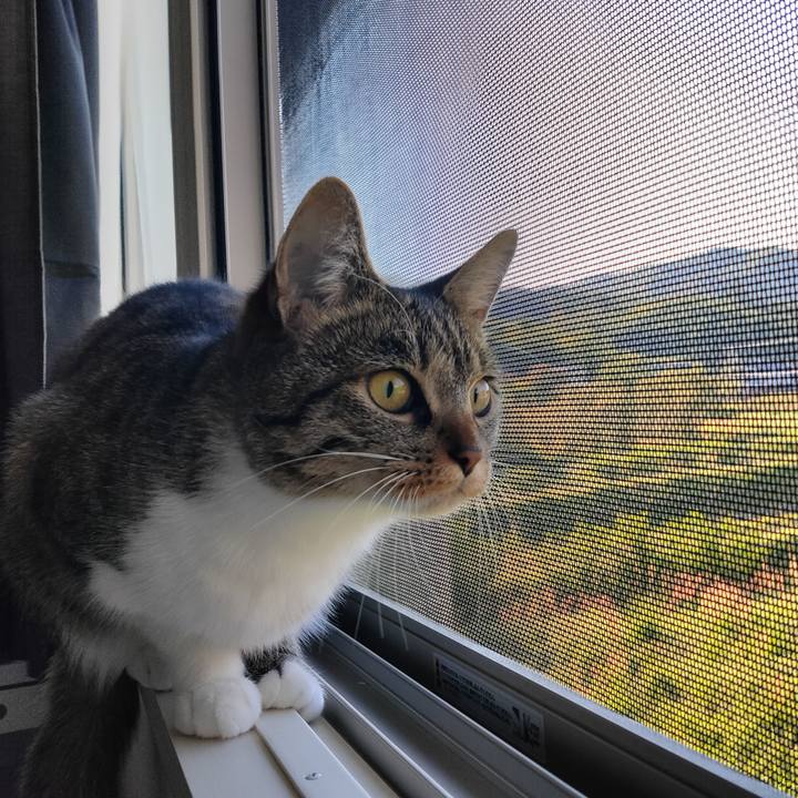 20b5517a c022 4b7c a1f5 bb12c730c7c0 1683841321305