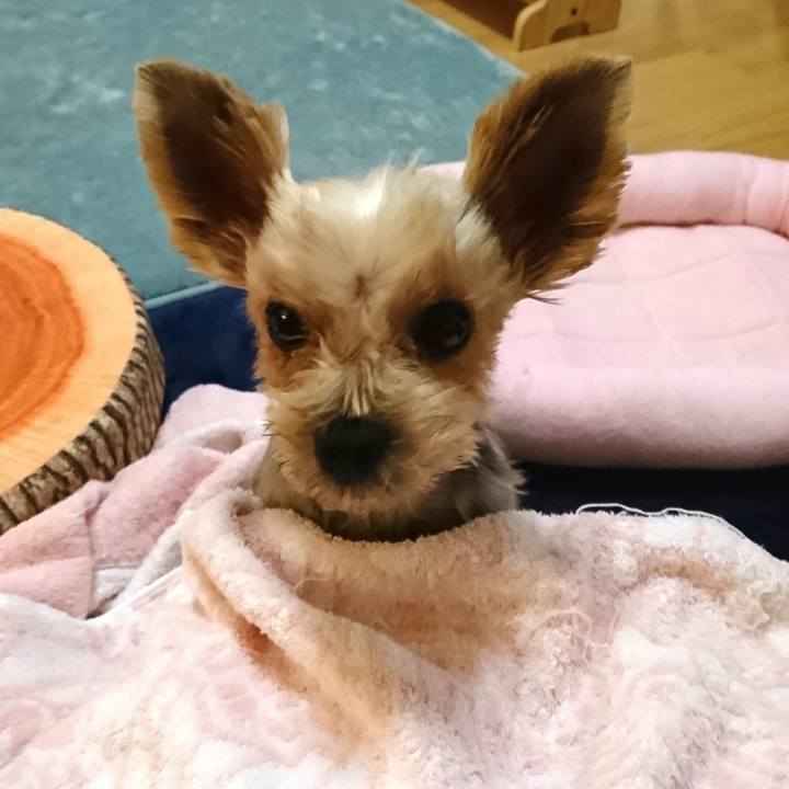 20b56d64 fa8b 439b ba58 259897697ab5 1536534963547