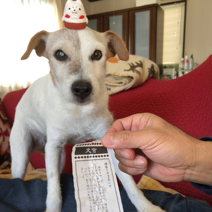 20b574ea 2ce5 414e 966e 38c72e975a40 1515907780484