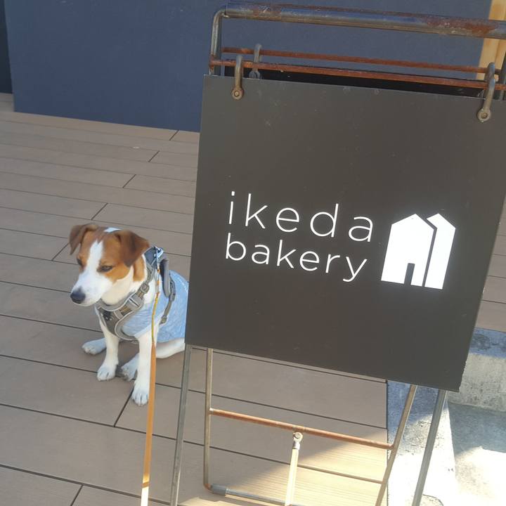 20b59172 80b4 49a9 b73d 229809e182b5 1573184463205