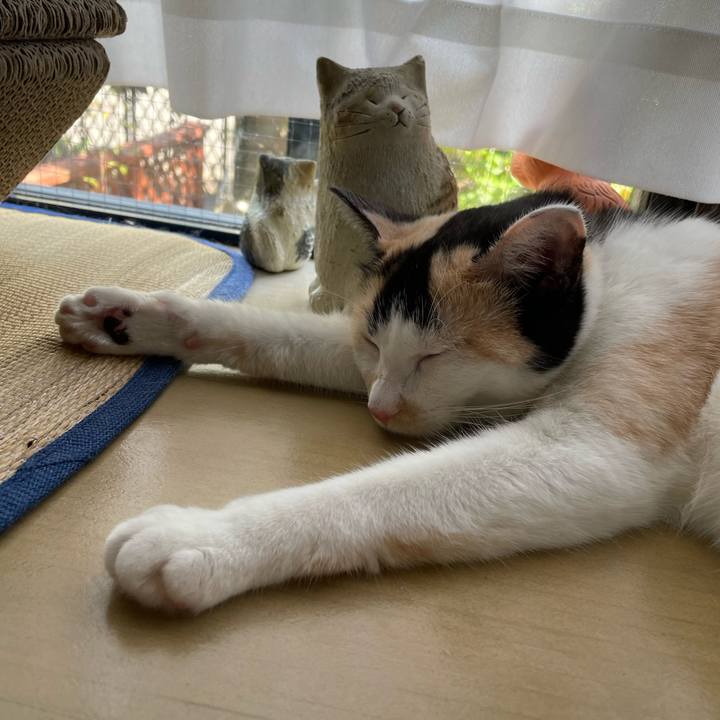 20b5a929 fdb0 4e0c aad2 13776048a526 1692592243675