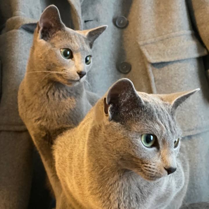 20b5a996 4a98 4614 a88c 294a3ea7bed6 1615259694174