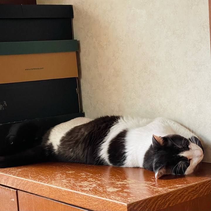 20b5ad4f 1d28 47bf a261 e4883e05ada7 1660183733044