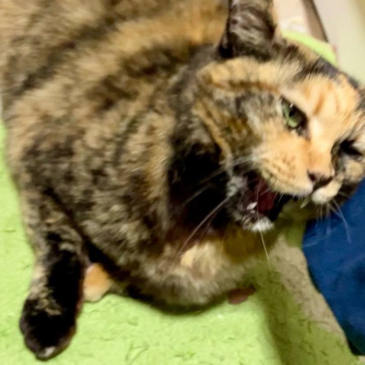 20b5c106 3174 4f43 8375 99636ed08b24 1734427957603