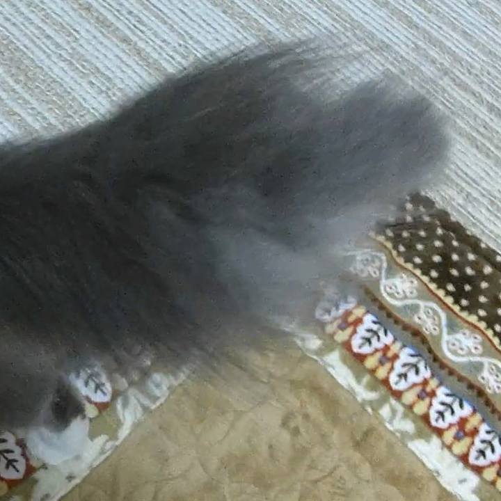 20b5de6b 3783 4d71 999b 39d8916c46f1 1573471566633