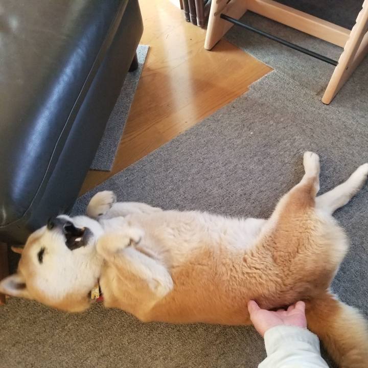 20b5f82a 690b 4440 b24f 9359f8997786 1744675794076