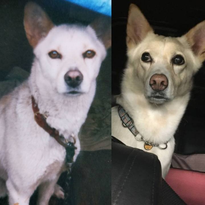 20b60247 7624 4542 aa99 b0e1ed2eefac 1653799800932