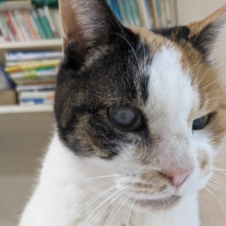 20b609c3 7663 44fd 8a85 c9b2d9156d59 1700465304543