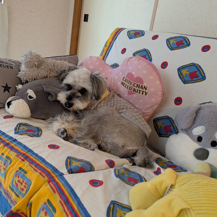 20b6113e 0c24 49ad 82a3 d62193462dc5 1762840567897