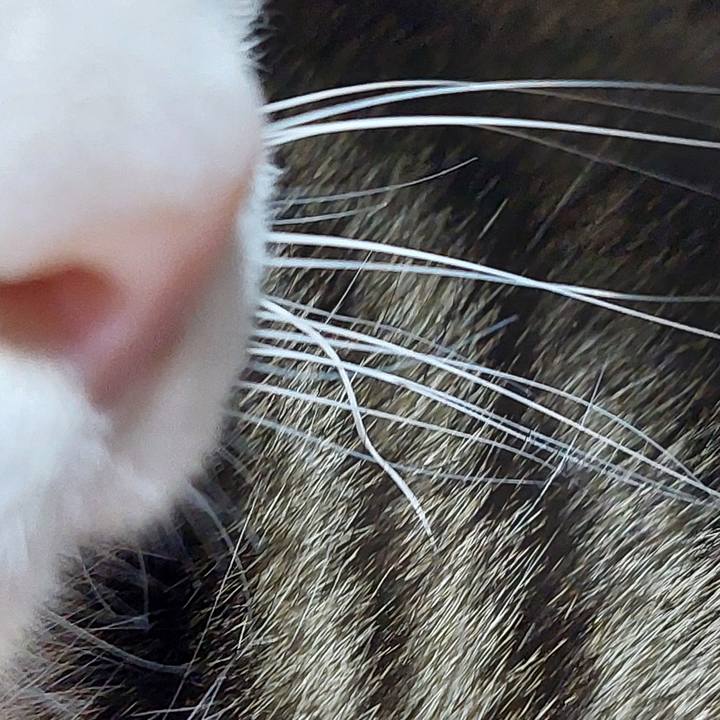 20b61f1a 5616 48e7 a2eb 5c3ec939fd0e 1769083113643