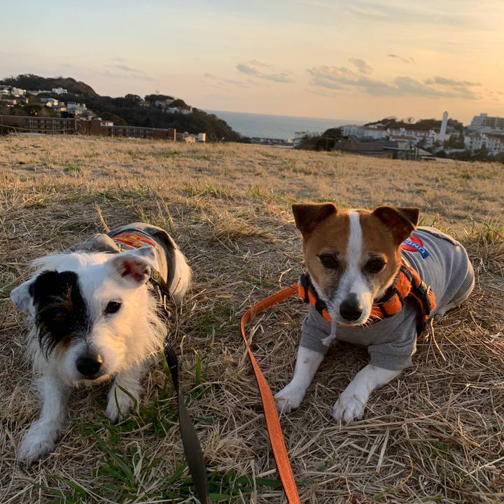 20b62358 9a0c 4eb9 99cc 42b691d993c3 1582286539626