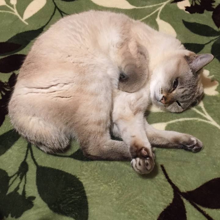 20b6337a e2c3 49de b752 c3daa3e4566d 1580476932679