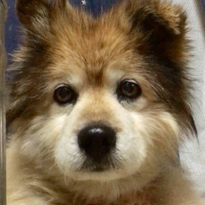 20b67c0c d602 44ac a834 f237e388555d 1552069538057