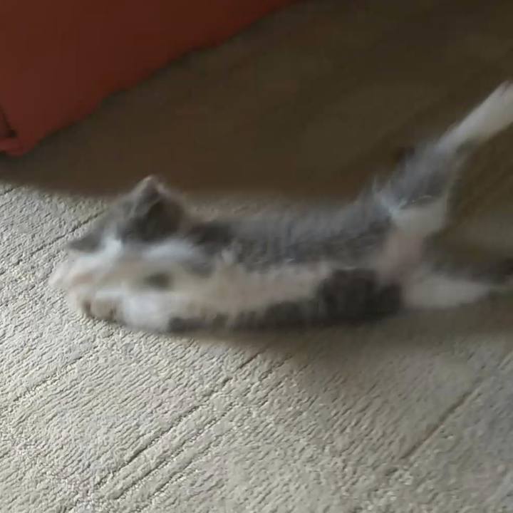 20b681bc 20ac 4bea 95e6 c793317d4f71 1561256702316