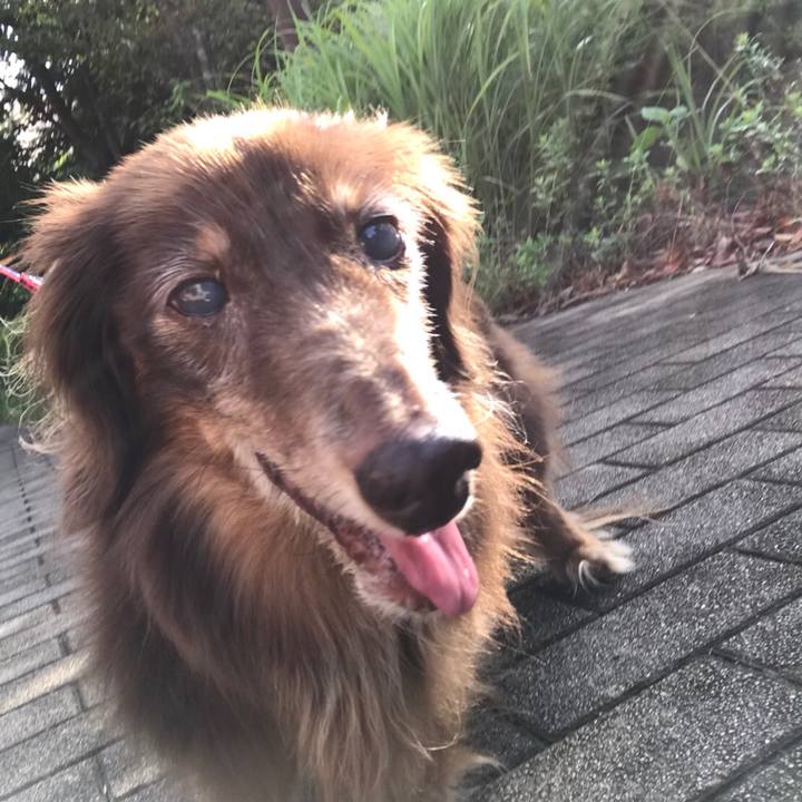 20b68c38 dc5f 4498 8753 ffbb3edfdcd1 1532905227152