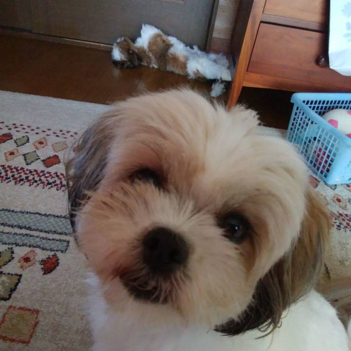 20b6a89e 7bc6 4ea1 9b95 a83a8f22fc97 1538094968783