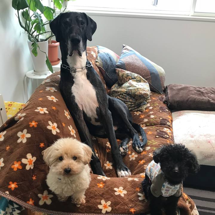 20b6b7e6 e38e 4ad3 afb8 fc34adf9554f 1521412500444