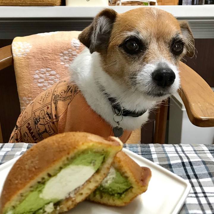 20b6c348 8238 435e 9dca 406ee2a79675 1558852302550