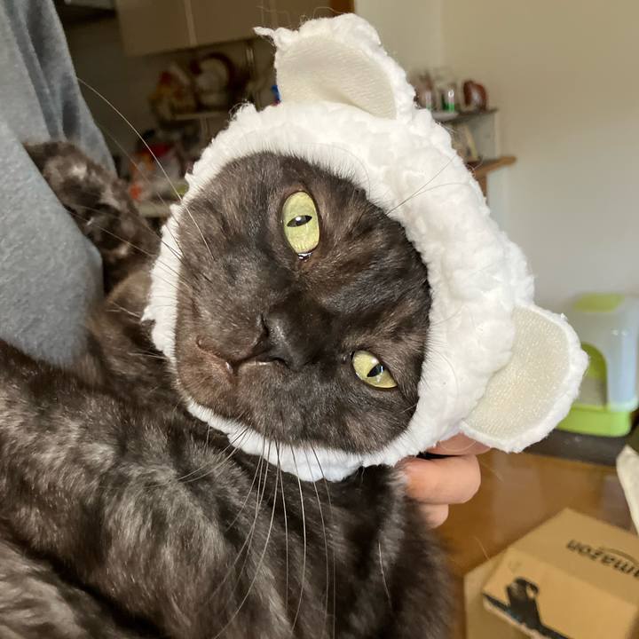 20b6d798 6e27 4204 8c33 4e87468d784f 1758587771958