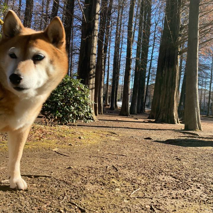 20b6e1b8 40d7 44b0 b197 0f6df6b22e5f 1641967756790