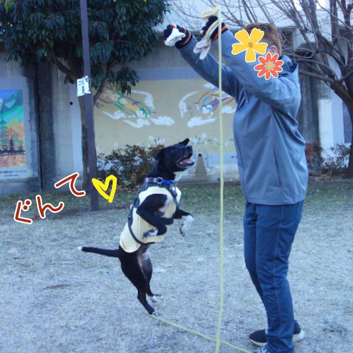 20b6fb15 2fd6 4964 a3c9 e390f28f773d 1641172225984