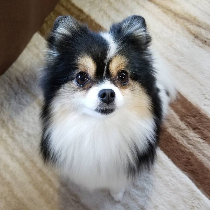 20b71a30 cb31 4f59 adfa a8b2e6b1ca23 1543532891907