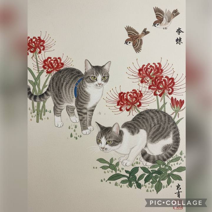 20b73156 2004 4698 8547 a1fb6adc13ef 1767150752928