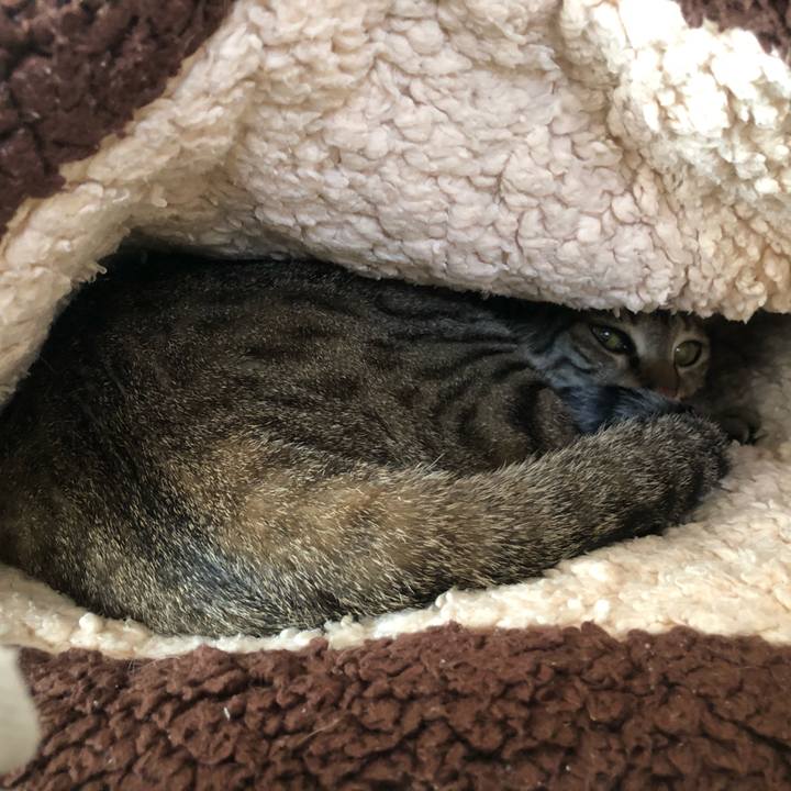 20b73d99 f6c3 4117 b3b4 2882791f1b31 1649564067453