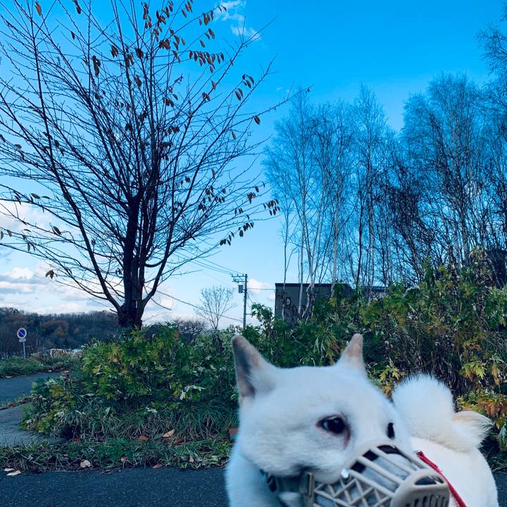 20b73e08 ae6d 43ae 83c2 51252e429567 1605506954983