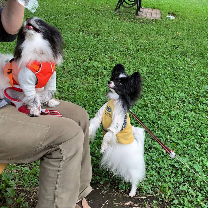 20b74486 916f 49d8 9474 57214376dbff 1593226247745